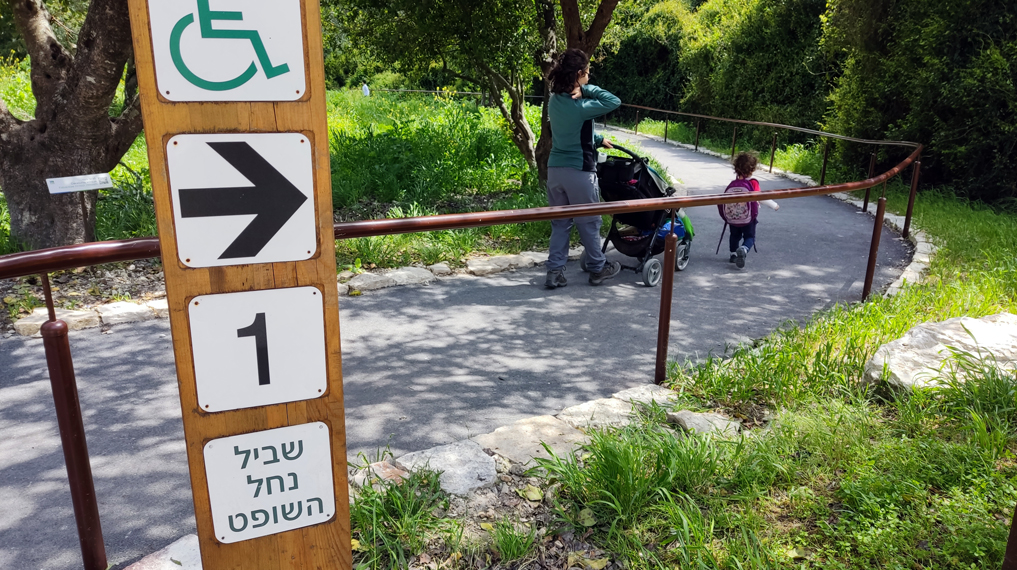 יורדים בשביל מונגש ונוח אל נחל השופט