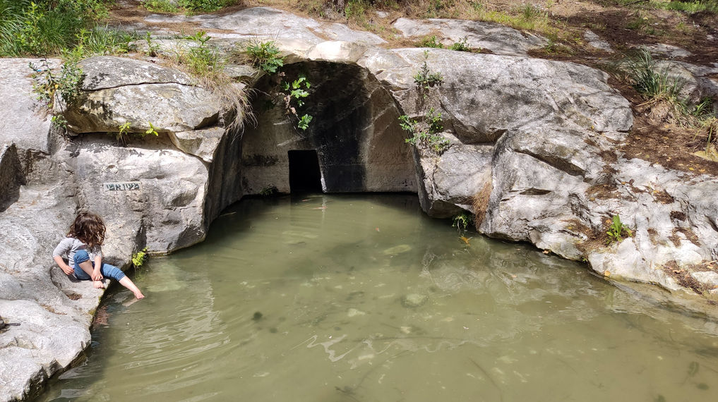 מעיין אמי - עין חשרת
