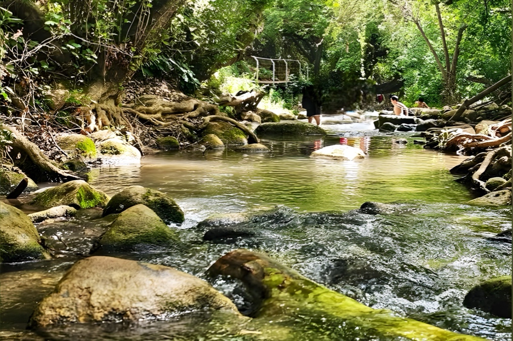 בריכות בשמורת נחל שניר. צילום: נירית רז