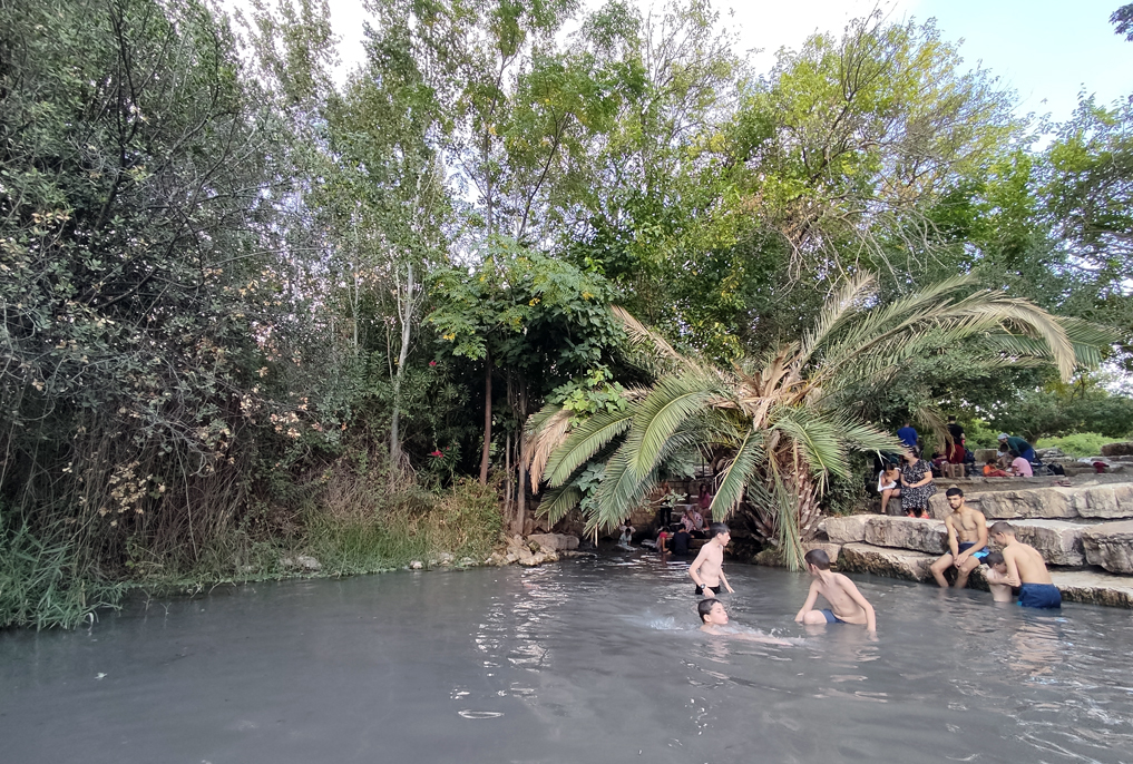 30 מעיינות ובריכות מוצלים – גישה מהירה, הליכה קצרה וטבילה מרעננת לקיץ. מעיין אלרואי בגליל התחתון