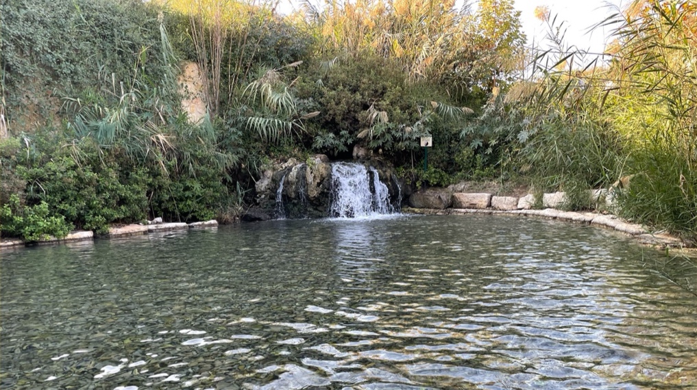 טיולי מים מונגשים לקיץ: המפל הנסתר בעין יהודה, עין הנצי"ב