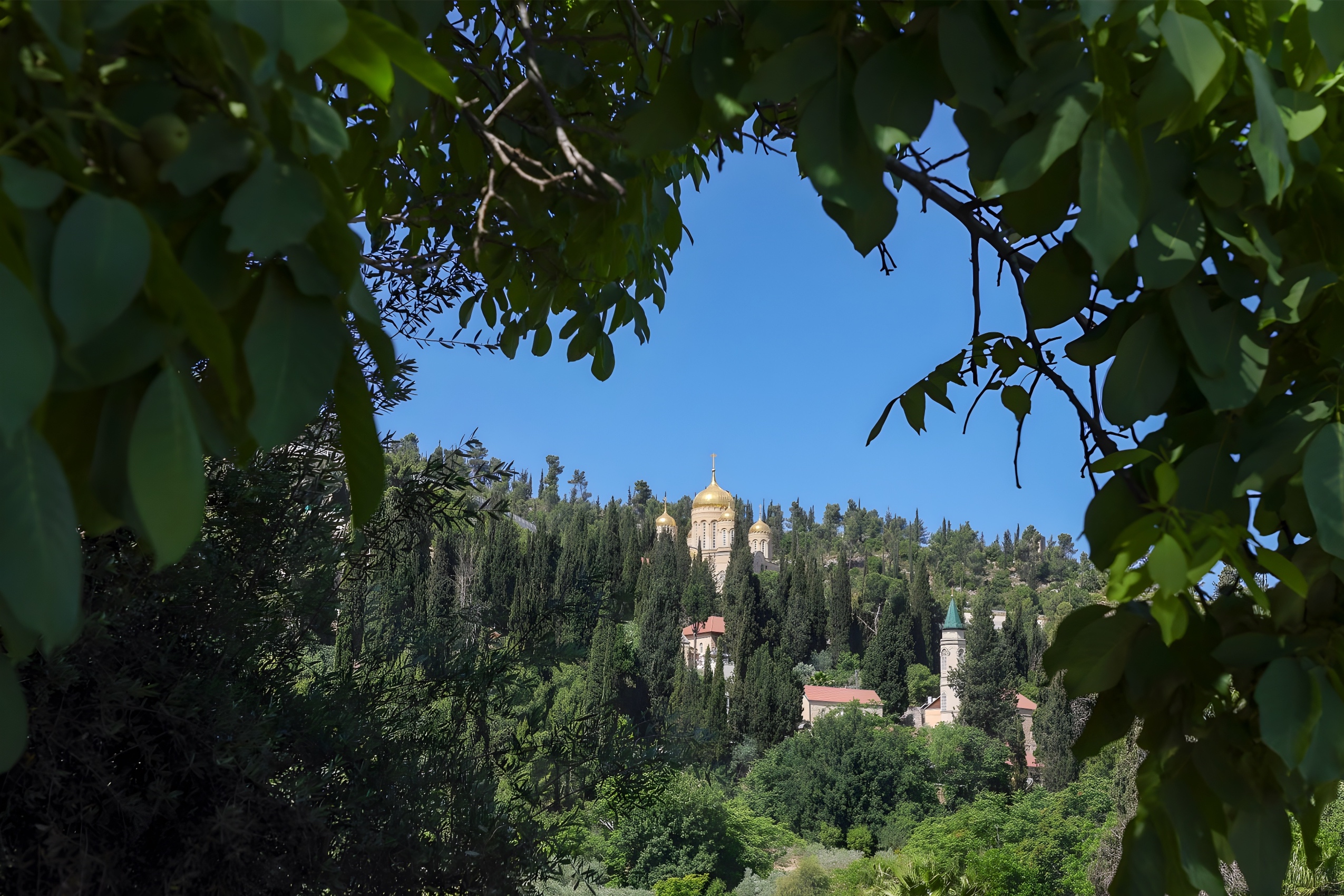 מראה מעין כרם אל מתחם מנזר גורני - ירושלים