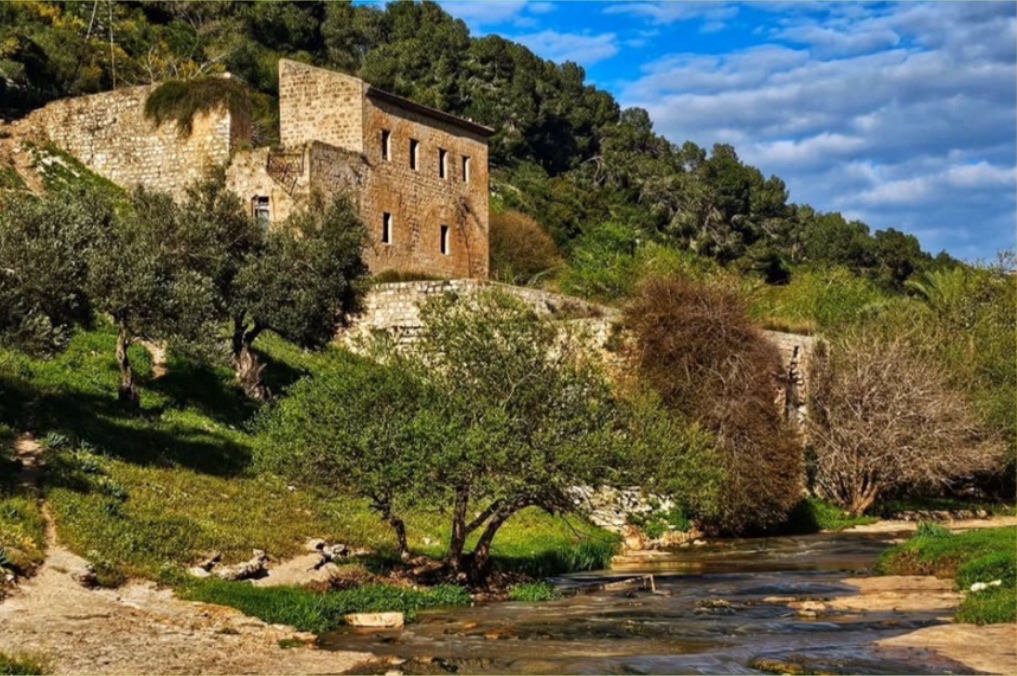 אביב בנחל ציפורי: טחנת הנזירים ונחל ציפורי במסלול נחל ציפורי מעגלי צילום: נירית רז
