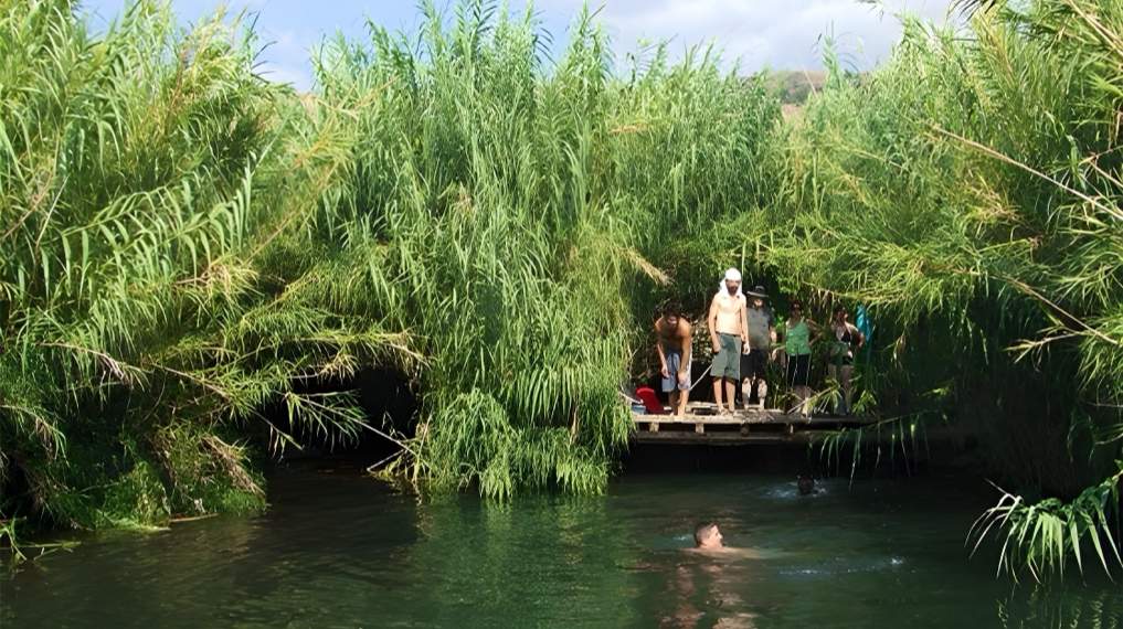 טיולי חג סוכות 2025 - 35 בריכות טבעיות ועמוקות "כל-כך עמוק שבא לקפוץ" לבריכת סכר ירדינון