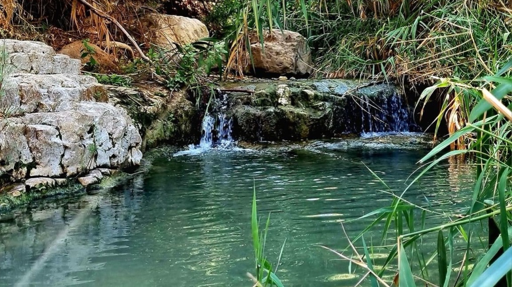 מפלים קטנים בדרך למפל הנסתר בנחל ערוגות. צילום: נועה ביטן נורי