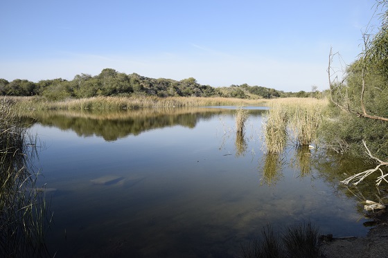 בריכות חוף לאורך הים - אגם ניצנים