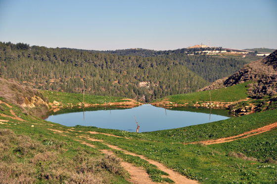 העין הכחולה של גוש חלב