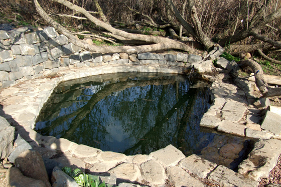 מעיין אלוני הבשן