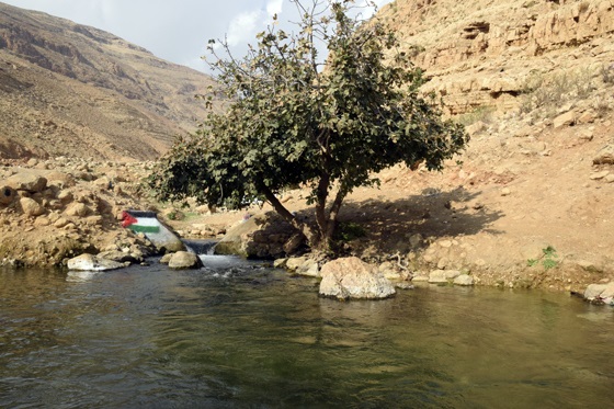 בריכת עין עוג'א