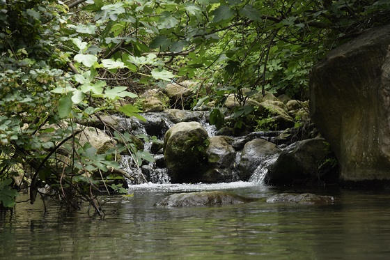 בריכת גן עדן: הבריכה המופלאה בנחל כזיב