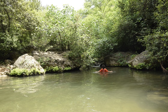 המדריך השלם לטיולי תשרי - בריכת גן עדן בנחל כזיב מתוך גן עדן בגליל המערבי