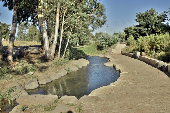 בריכות חורשת גדעון בעמק יזרעאל