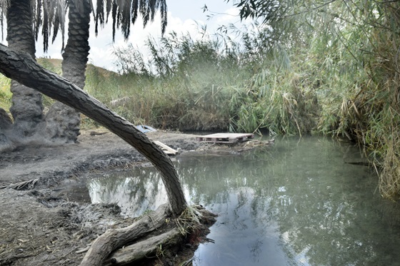 בריכת התמר בעין צמד שבנחל אבוקה - עמק בית שאן/המעיינות
