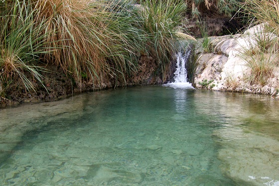 בריכה ומפל בנחל דוד