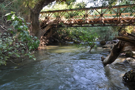 נחל חרמון הפינה החבויה תחת גשר