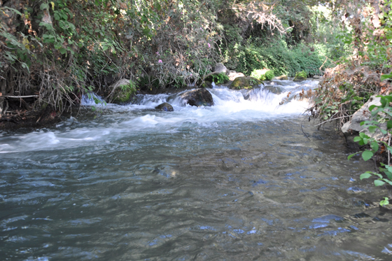נחל חרמון תיכון הבריכה