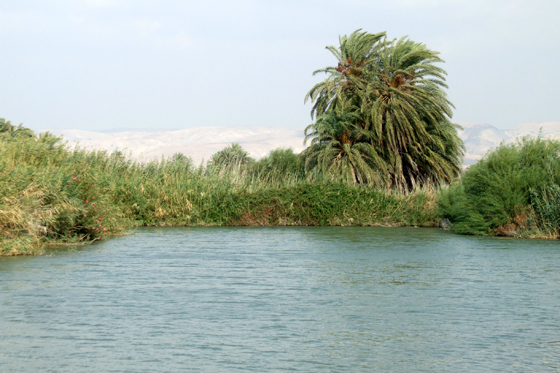 עמק המעיינות במיטבו: נחל אבוקה