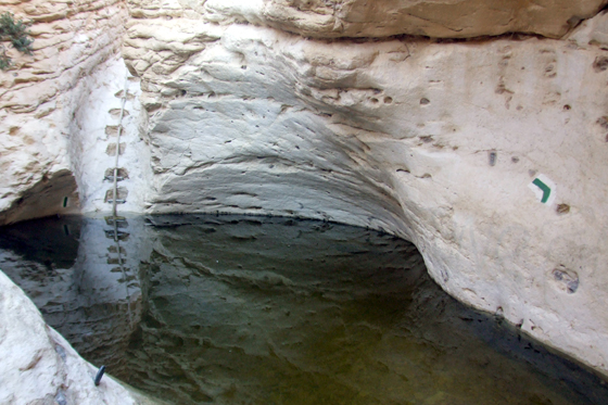 גב מלא במים בנחל גוב - צפון הנגב