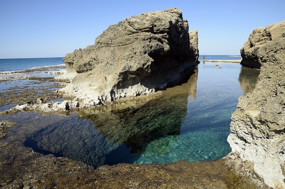 מפת הקיץ של ישראל: בריכות חוף לאורך הים: בריכות ים צלולות בלגונות תל דור