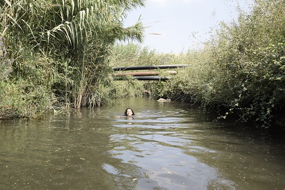 ג'ילבון בריכת הסכר