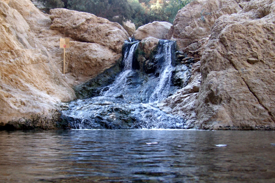 נחלים ומעיינות במדבר: צמד המפלים בשמורת עין בוקק