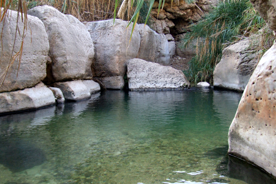 בריכות נחל פרת תחתון מדבר יהודה | מסלול טיול קצר