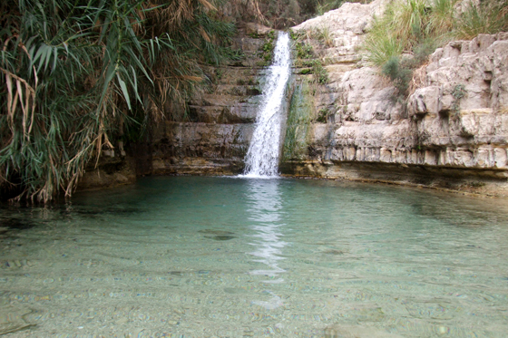 מפל ובריכה בנחל דוד תחתון
