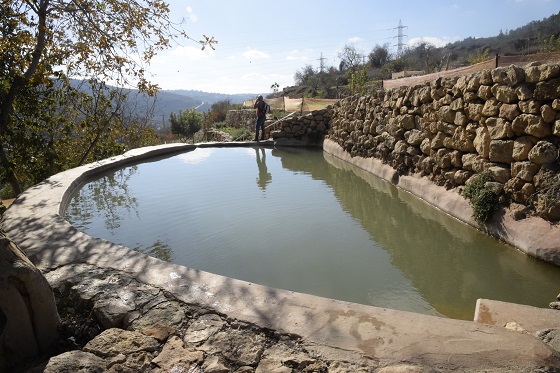 בריכת המעיין התחתונה עין לבן בהרי יהודה