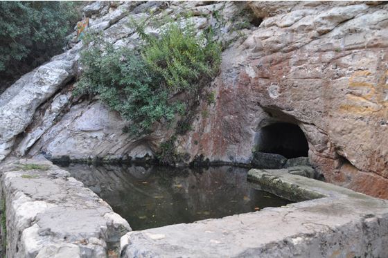 בריכת המעיין עין משוטטים בנחל שיח בכרמל
