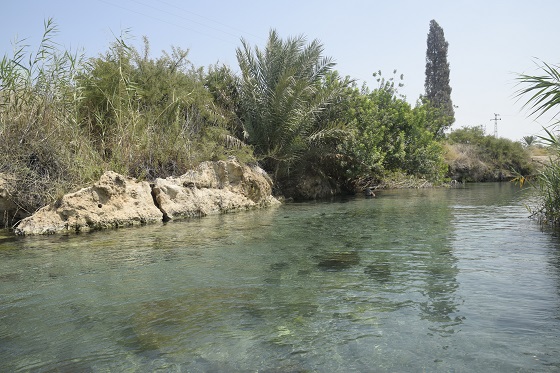 טיולי חג סוכות 2025 - עמק המעיינות במיטבו: עין מגדל, המעיין הצלול ביותר בעמק המעיינות