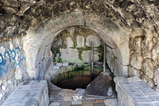 באר עיינות דקלים