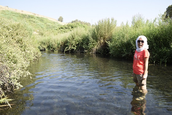 טיולי חג סוכות 2025 - טיולי מים למשפחות: עין נוטרה - בריכות השכשוך של עיינות נוטרה במורדות רמת הגולן