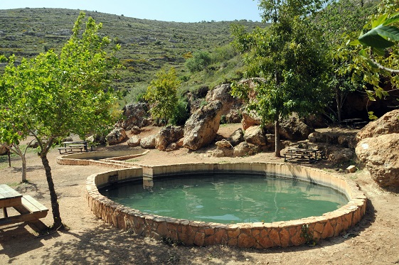 עין עז בשומרון