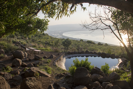 עין שוקו בדום רמת הגולן