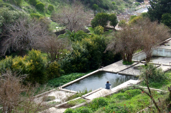 עין שיח: בריכת בוסתן ח'יאט - עין שיח בתחתית נחל שיח בכרמל