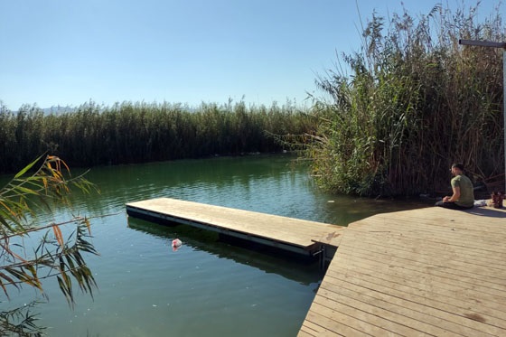 עין סוכות בבקעת הירדן