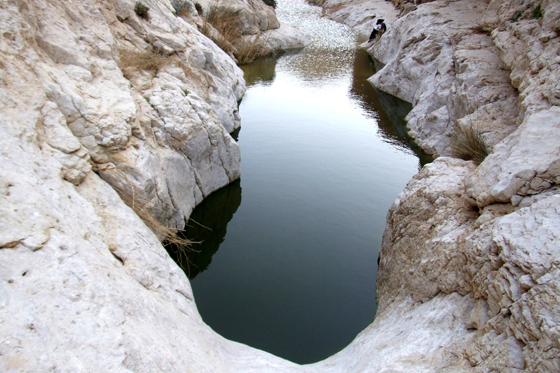 עין צפית, גב ארוך מלא במים בנחל צפית עליון, דרום מדבר יהודה/צפון הערבה
