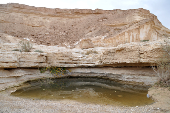 גב עין אום-תינה (מעיין אם התאנה) מלא במים לאחר שיטפון - צפון מדבר יהודה