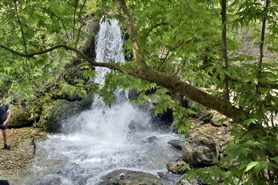 גן עדן בגליל המערבי: עין זיו - מפל ובריכה בנחל כזיב