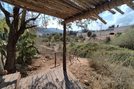 "העמק הנעלם", עמק ארזה - הרי יהודה