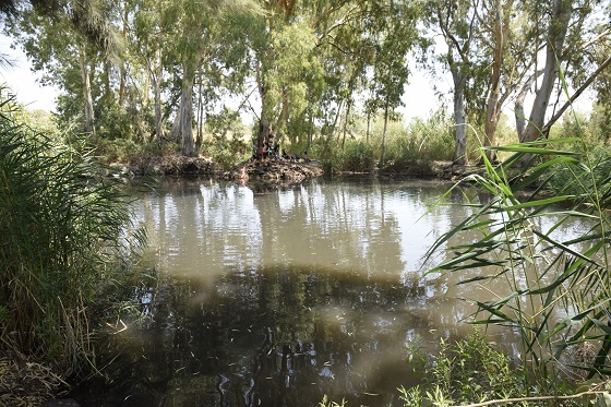 עין צנובר/גן ראובן/עין ש"ג