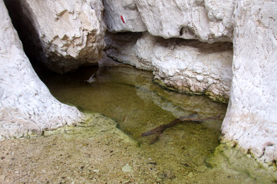 גב מלא במים - גבי מסור