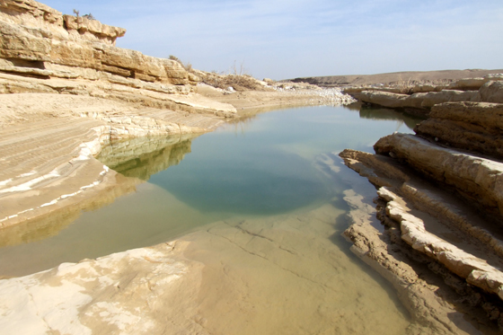 מדבר צין: גב במפגש הנחלים צין וחוה מלא במים לאחר שיטפון - צפון הנגב