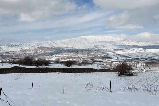 תצפית מהר ורדה על החרמון ביום של שלג - רמת הגולן בשלג