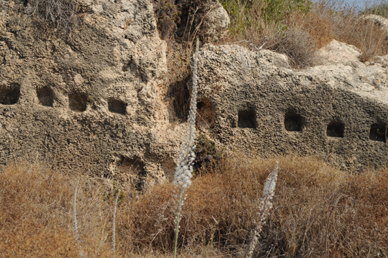 חצבים על רקע סלע הכורכר - המצודה הצלבנית