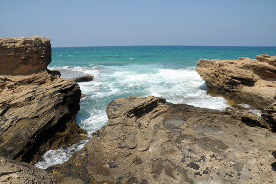 הגלים מתנפצים על החוף הסלעי המפורץ במסלול משמורת הבונים לתל דור