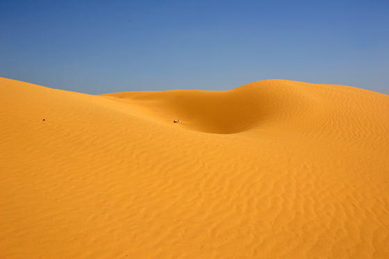 דיונות של חול רך - חולות כסוי