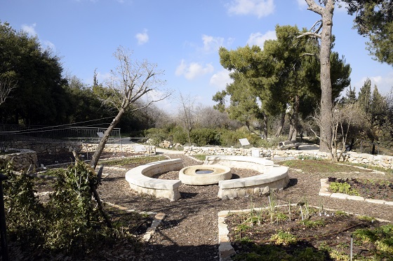 הגן הבוטני הר הצופים בירושלים