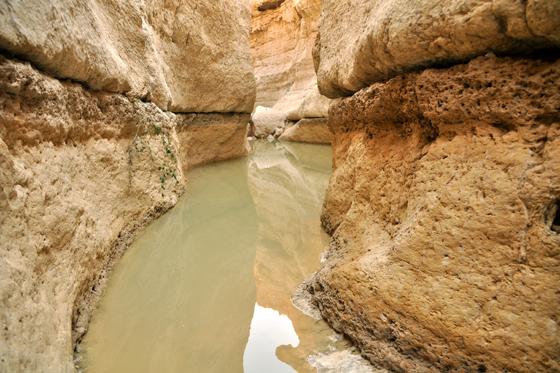 גב ארוך מלא במים לאחר שיטפון בנחל אשלים - צפון הערבה