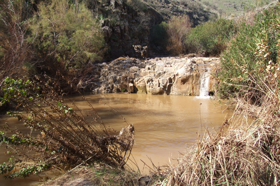 בריכת נחל תבור